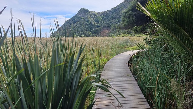 Pararaha Valley, Whatipu