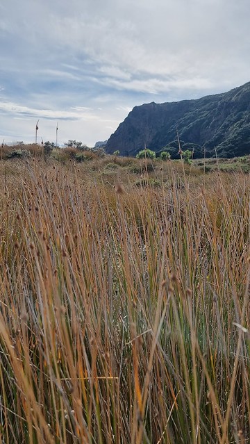 Pararaha Valley, Whatipu