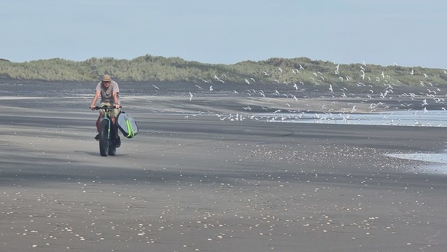 Fat bike surf board transport