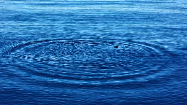 Pumice | Waihora Beach
