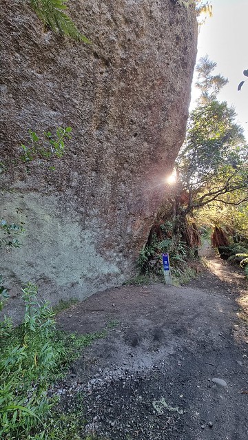 Natural soundshell | Waihora Trail