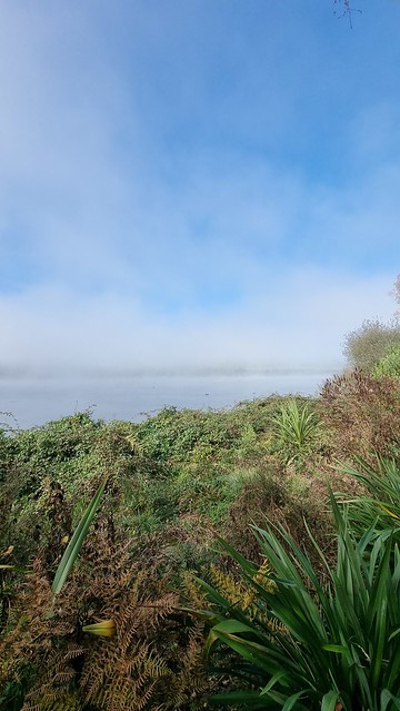 Lake Maraetai foreshore, Mangakino