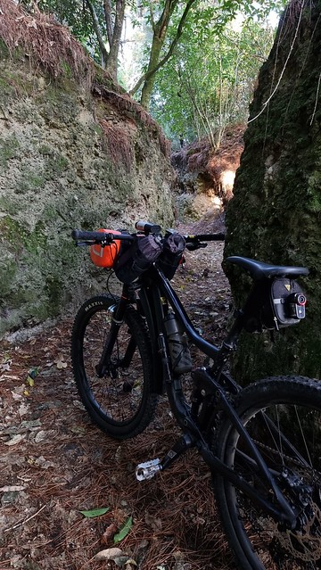 Lake Whakamaru trench trail