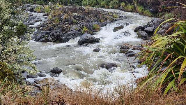 Mahuia Rapids