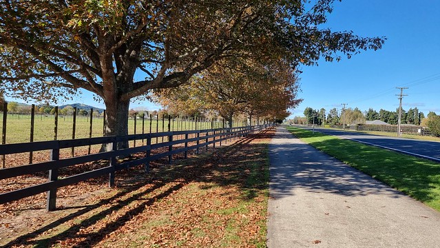 Maungatautari Road, Cambridge