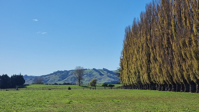Maungatautari Road, Cambridge
