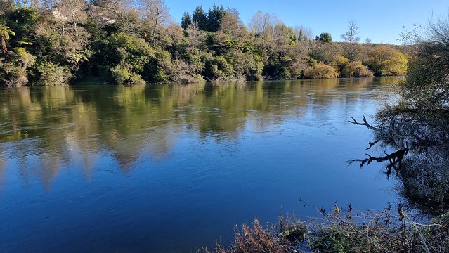 Waikato River, near Tamahere