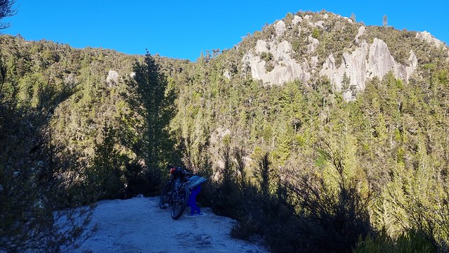 Icy Waihaha Trail viewpoint