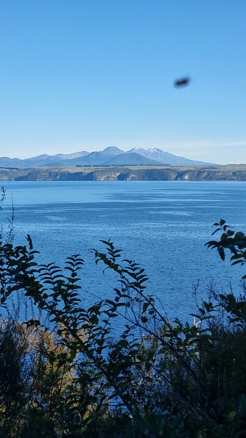Photo buzzed | Waihora Trail