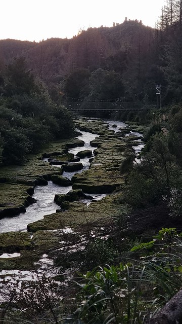 Evening Waihaha Trail