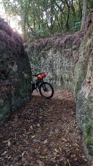 Lake Whakamaru trench trail