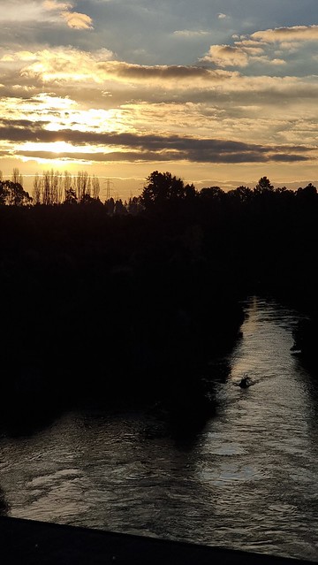 Waikato River Trail evening