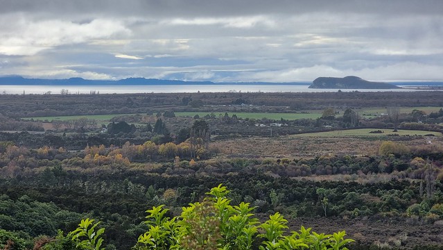 Te Ponanga Saddle Road view