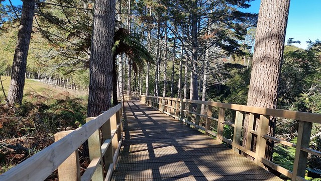 Boardwalk section