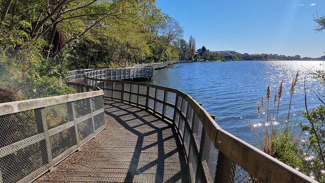 Lake Karapiro Boardwalk