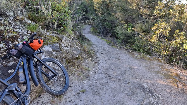 Waihaha Trail