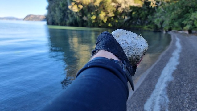 Pumice | Waihora Beach