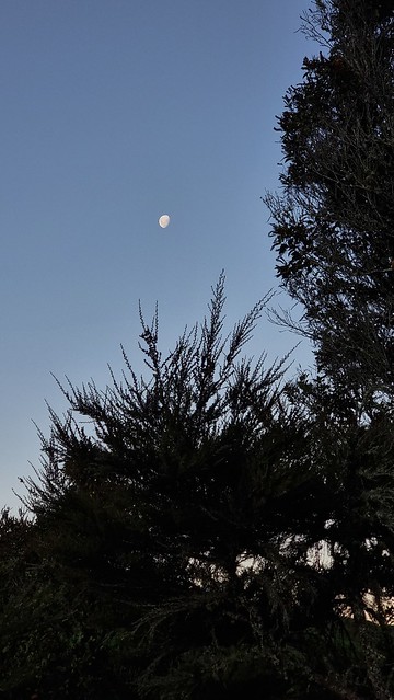 Evening Waihaha Trail