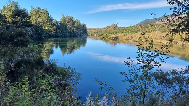 Waikato River, Kinleith