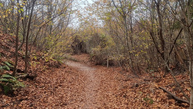 Autumn on the Rotary Trail