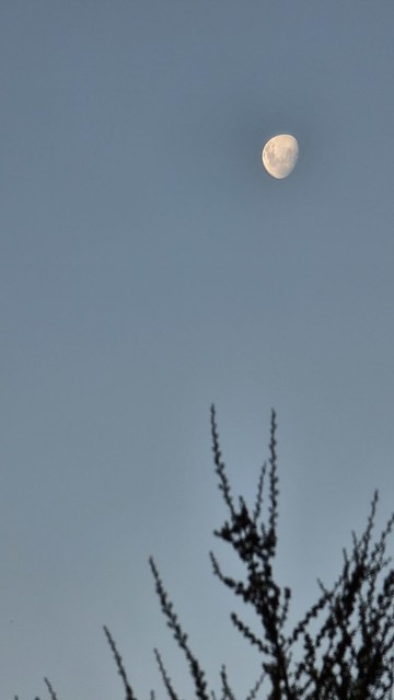 Evening Waihaha Trail