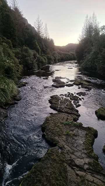 Evening Waihaha Trail Finish 17:30