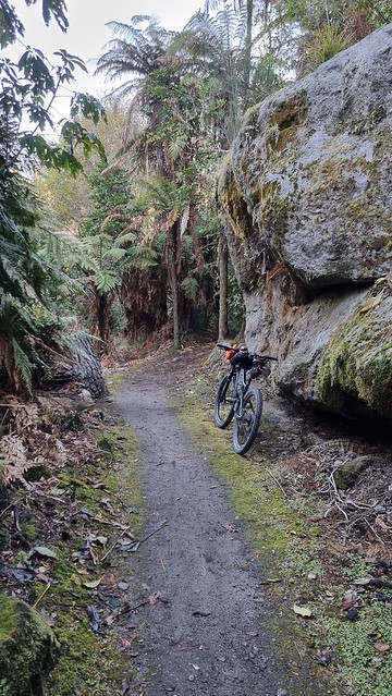 Waikato River Trail