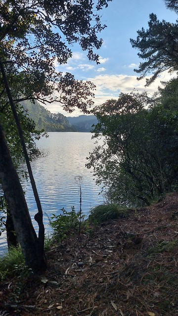 Lake Whakamaru