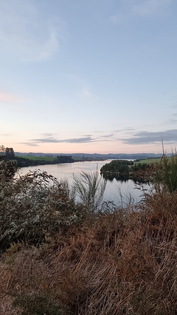 Waikato River Trail evening