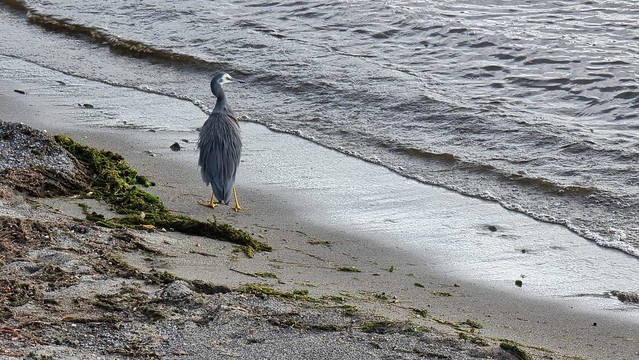 Taupo Lakefront Path