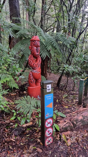 Timber Trail Start, Pureora Village