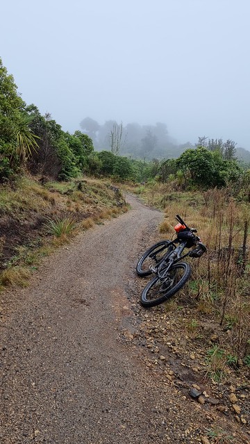 Timber Trail, Pureora Forest
