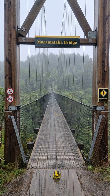 Maramataha Bridge, Timber Trail, Pureora Forest