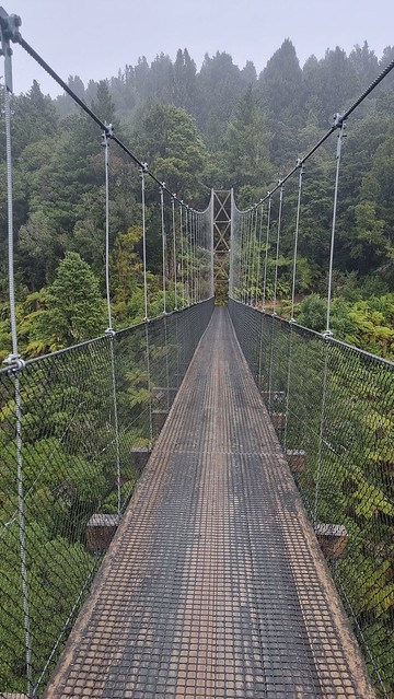 Maramataha Bridge, Timber Trail, Pureora Forest
