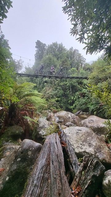 Waione Bridge, Timber Trail, Pureora Forest