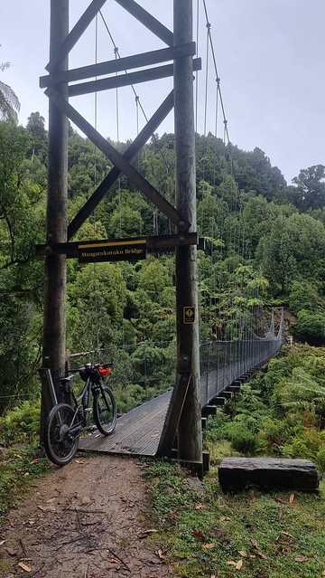 Mangatukutuku Bridge, Timber Trail, Pureora Forest