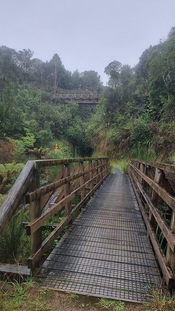 Ongarue Spiral, Timber Trail, Pureora Forest