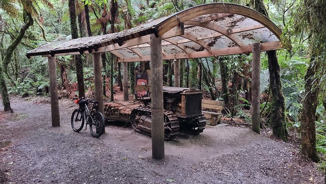 Timber Trail logging relics, Pureora Forest