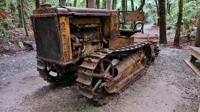 Timber Trail logging relics, Pureora Forest