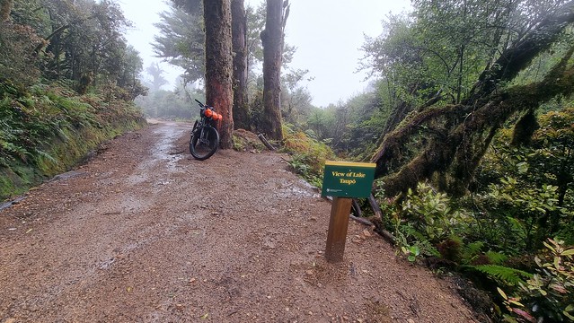 Timber Trail, Pureora Forest