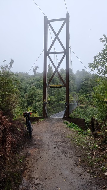 Orauwaka Bridge, Timber Trail, Pureora Forest