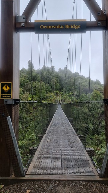Orauwaka Bridge, Timber Trail, Pureora Forest
