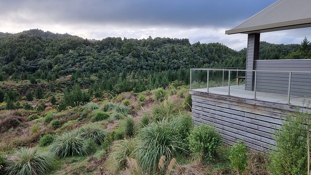 Timber Trail Lodge, Piropiro, Pureora Forest