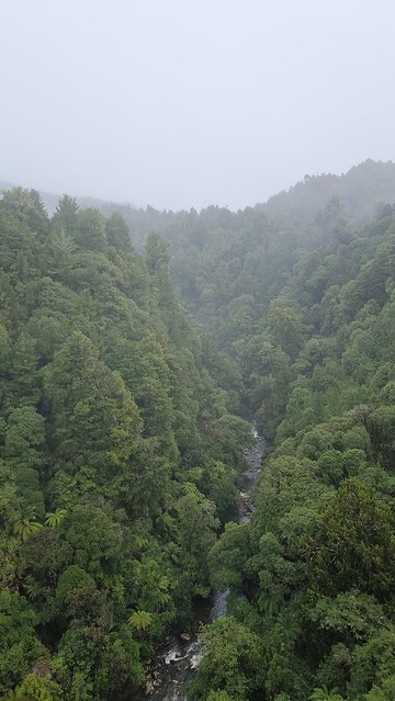 Maramataha Bridge, Timber Trail, Pureora Forest