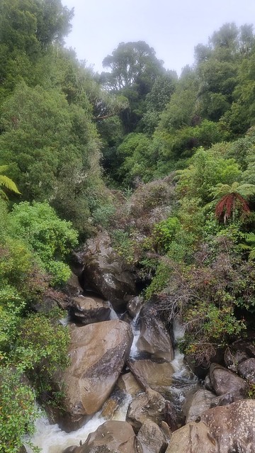 Waione Bridge, Timber Trail, Pureora Forest