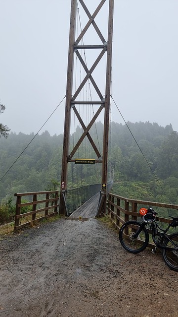 Maramataha Bridge, Timber Trail, Pureora Forest
