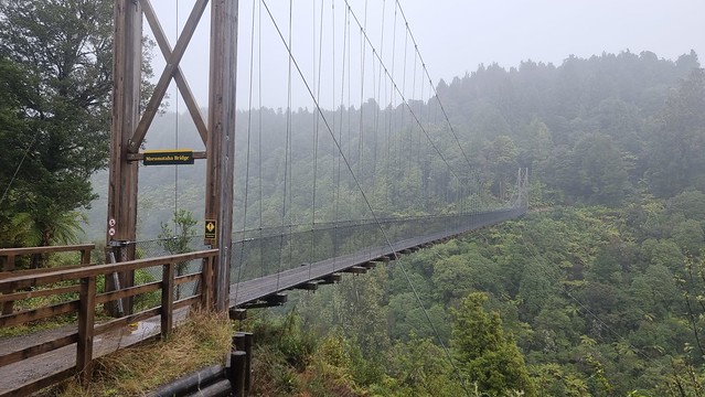 Maramataha Bridge, Timber Trail, Pureora Forest