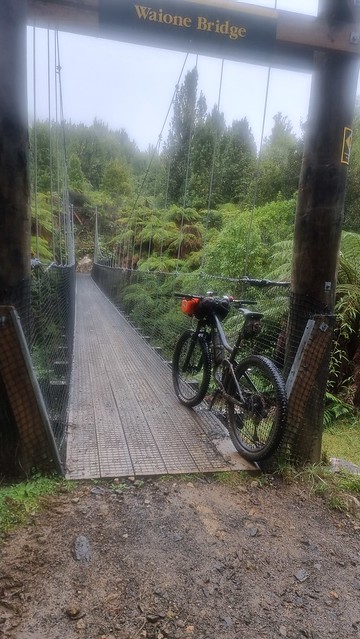 Waione Bridge, Timber Trail, Pureora Forest
