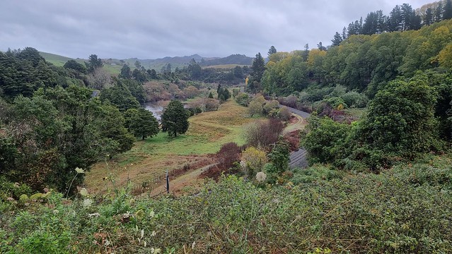 Ongarue, Timber Trail, Pureora Forest