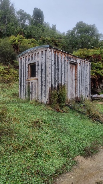 Timber Trail, Pureora Forest